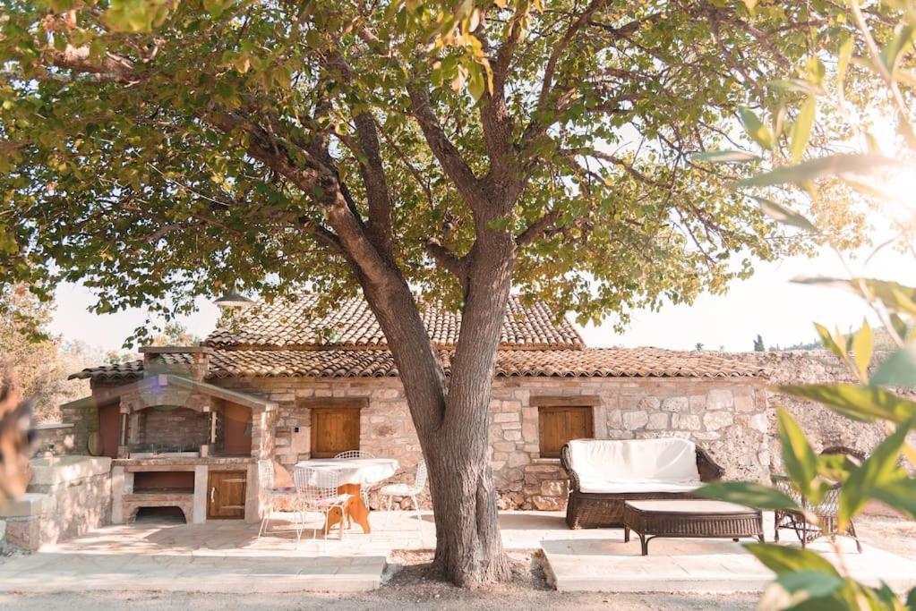 Ferienhaus Violla